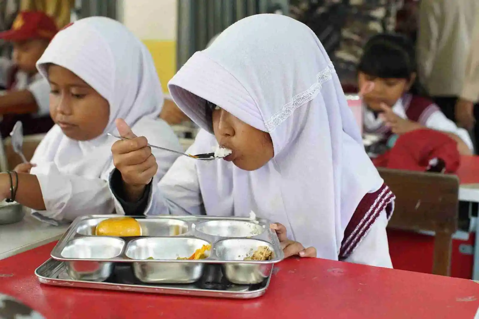 YLKI meminta pemerintah hadir dan bertanggung jawab terhadap setiap kerugian penerima manfaat. Foto: Dok KabarBursa.com