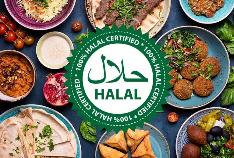 Ilustrasi Sertifikasi Halal Industri Makanan. Foto: Dok Indonesia Youth Foundation