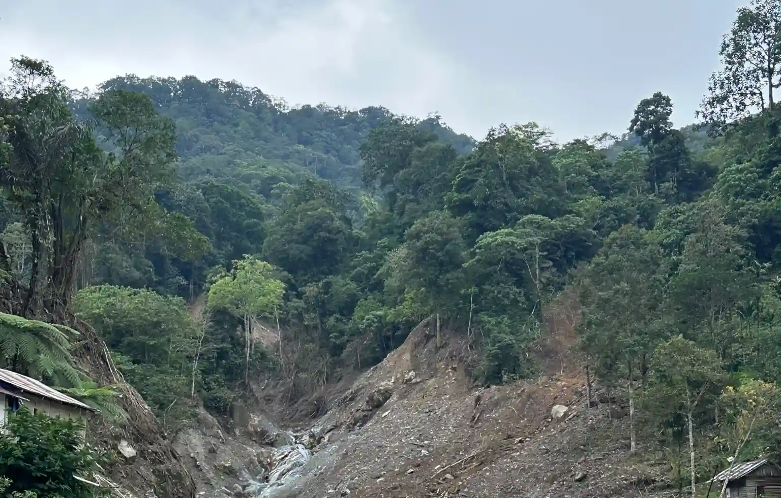 Hutan di Padang Panjang, Sumatera Barat, pasca banjir besar akhir 2025. Bekas longsor tampak membelah lereng akibat hujan berkepanjangan yang mengguyur wilayah ini selama berhari-hari. Foto: KabarBursa/Alpin Pulungan