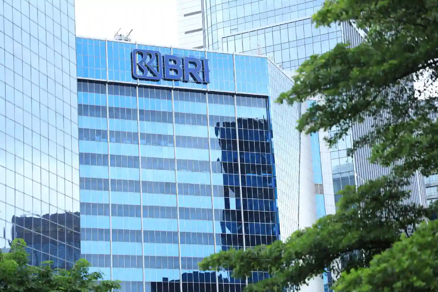 Langkah BRI jalankan bisnis berbasis ESG usai momentum Earth Hour. Foto: dok. BRI