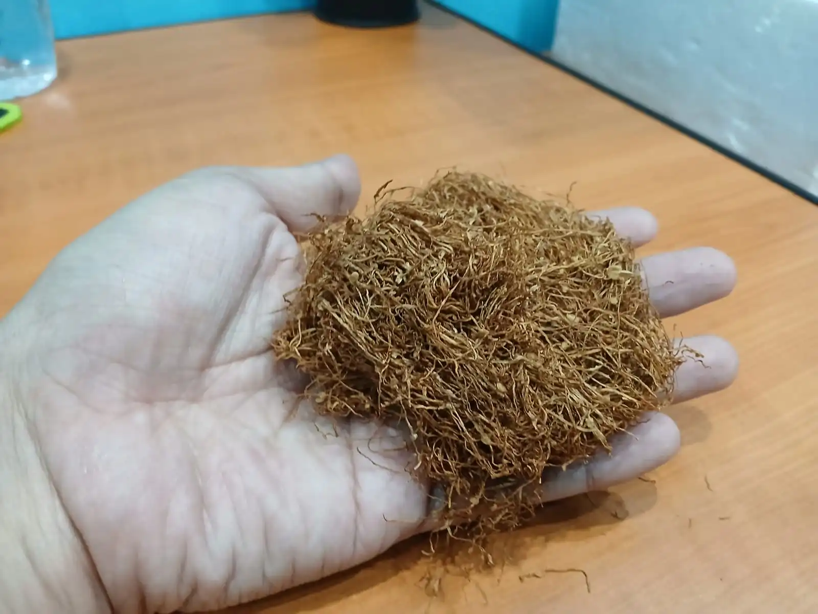 Ilustrasi tembakau dalam negeri. Foto: dok KabarBursa.com