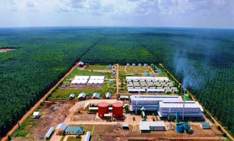 Analis cukup agresif memberi target harga, namun secara teknikal struktur TAPG cenderung masih berat ke bawah. (Foto: dok TAPG)